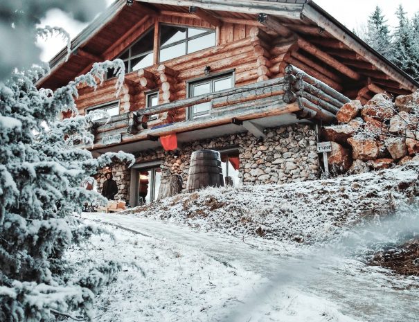 emilia-morariu-k5579Jnq7sk-unsplash