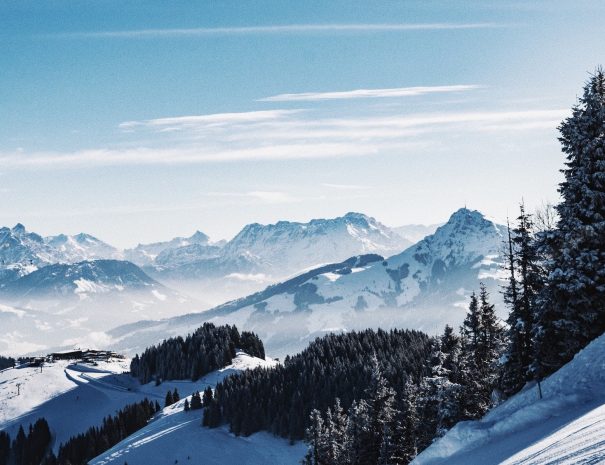 midas-hofstra-P3nbeMnXkrM-unsplash